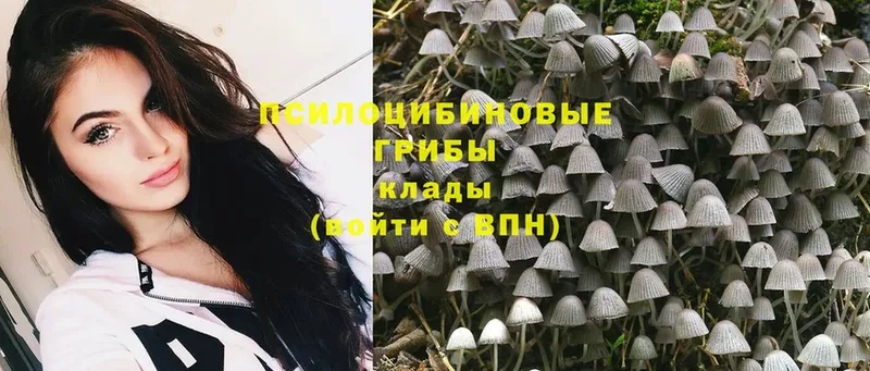 гидра рабочий сайт  Ржев  Псилоцибиновые грибы Psilocybe  закладка 